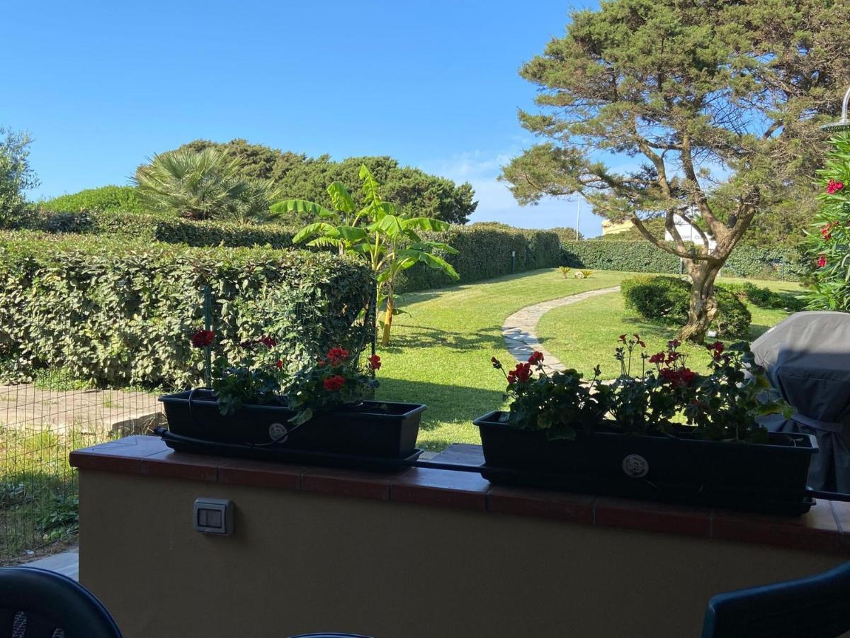 Pelosa - Capo Falcone Excellent Apartment Stintino Eksteriør bilde