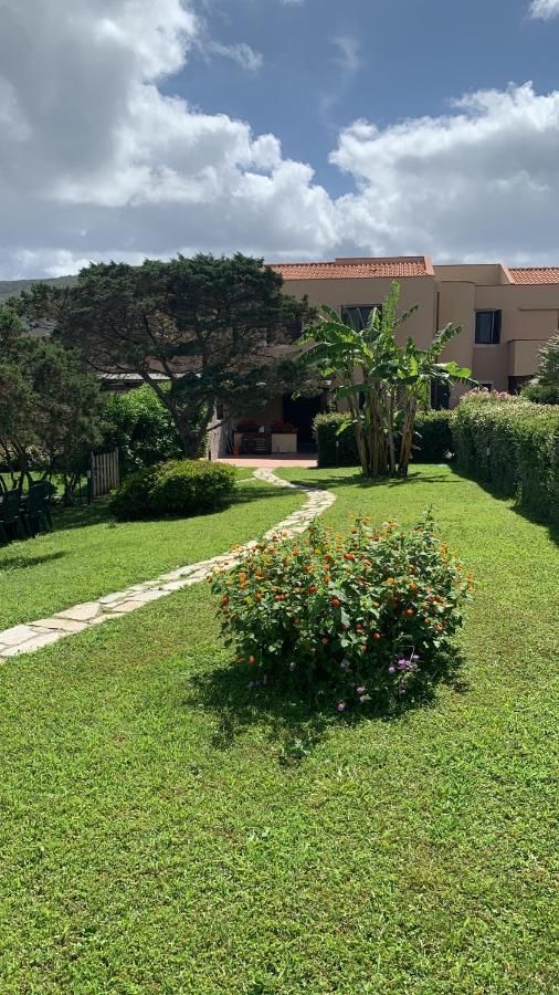 Pelosa - Capo Falcone Excellent Apartment Stintino Eksteriør bilde