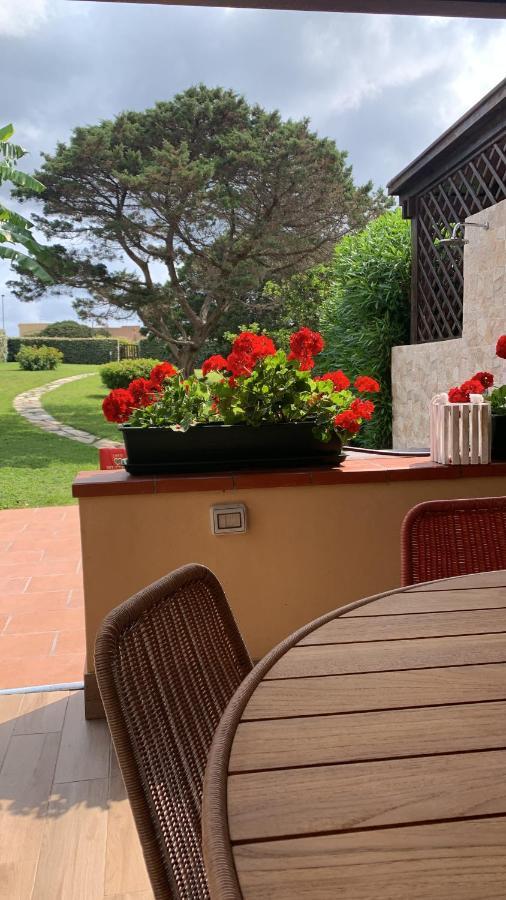 Pelosa - Capo Falcone Excellent Apartment Stintino Eksteriør bilde
