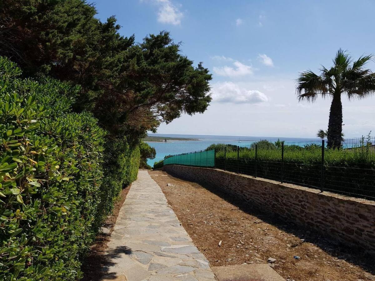 Pelosa - Capo Falcone Excellent Apartment Stintino Eksteriør bilde